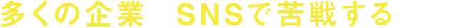 多くの企業がSNSで苦戦するなかで
