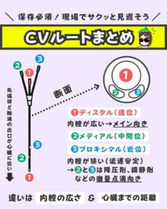 看護師ナス1枚投稿①