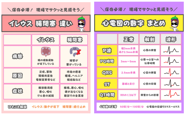 看護師ナス1枚投稿②